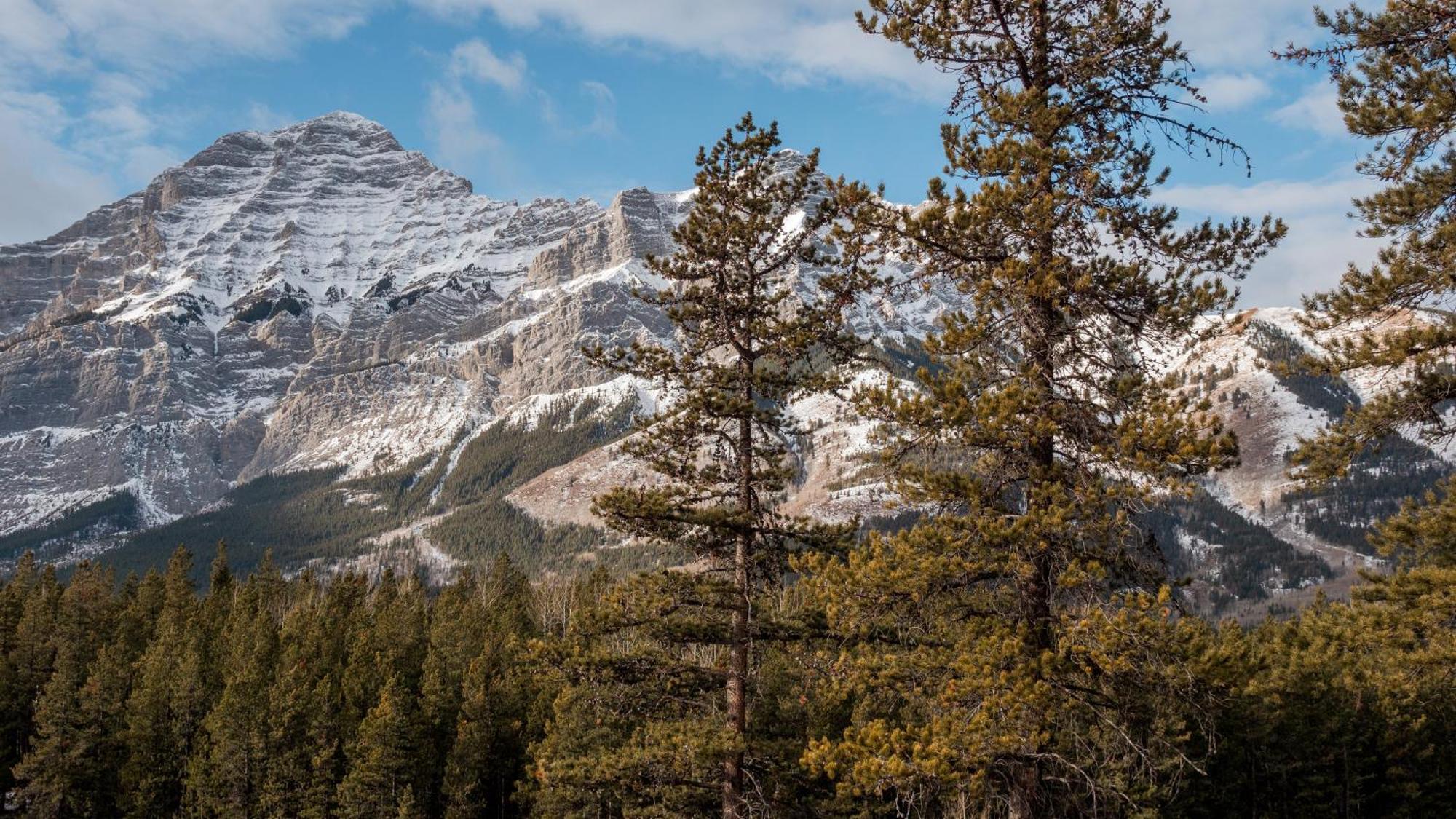Hotel Skyridge Glamping Kananaskis Zewnętrze zdjęcie